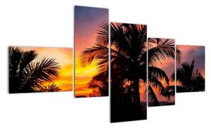 Obraz palmy na zeď (150x85cm)