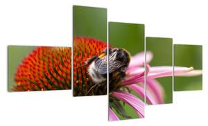 Obraz včely na květu (150x85cm)