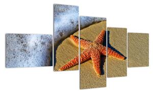 Obraz s mořskou hvězdou (150x85cm)