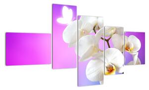 Obraz s orchidejí (150x85cm)