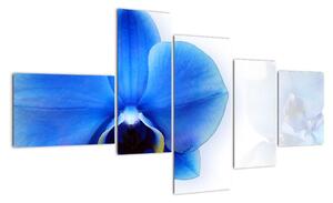Obraz s orchidejí (150x85cm)