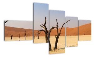 Obraz pouště (150x85cm)