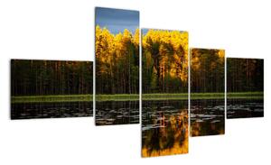 Obraz - podzimní krajina (150x85cm)