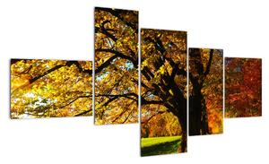 Obraz podzimní krajiny (150x85cm)