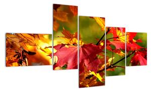 Podzimní listí, obraz (150x85cm)