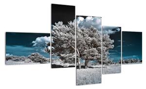 Strom v zimě, obraz na zeď (150x85cm)