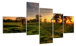 Západ slunce v krajině, obrazy (150x85cm)