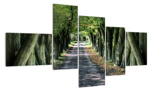 Údolí stromů, obrazy (150x85cm)
