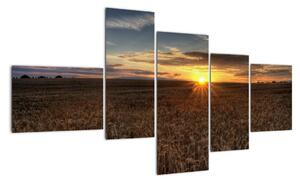 Západ slunce na poli - obraz na stěnu (150x85cm)