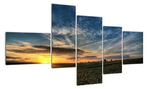 Západ slunce na poli - moderní obraz (150x85cm)