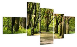 Cesta v parku - obraz (150x85cm)