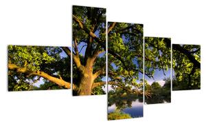 Obraz stromu (150x85cm)
