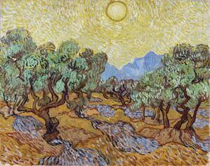 Obrazová reprodukce Olive Trees (1889), Vincent van Gogh