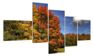 Podzimní stromy - obraz (150x85cm)