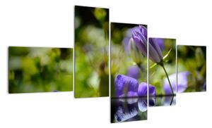 Modrá květina - obraz (150x85cm)