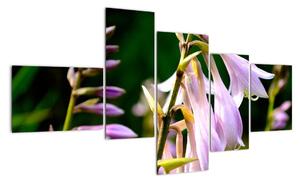 Květiny - obraz (150x85cm)
