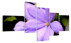 Obraz květu (150x85cm)