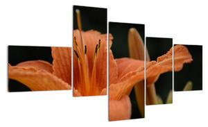 Obraz květiny (150x85cm)