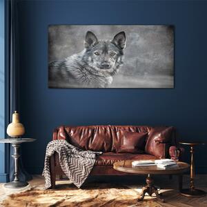 Obraz na skle Obraz na skle Zimní sníh zvířecí vlka pes