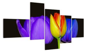 Obraz tulipánů (150x85cm)