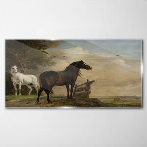 Obraz na skle Obraz na skle Krajina mraky nebe koně