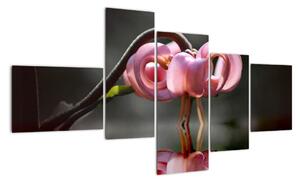 Obraz květiny (150x85cm)