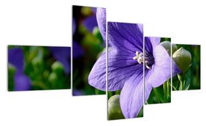 Květiny - obraz (150x85cm)