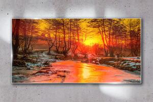 Obraz na skle Obraz na skle Lesní řeka Sněhová příroda