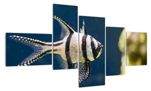 Ryba - obraz (150x85cm)
