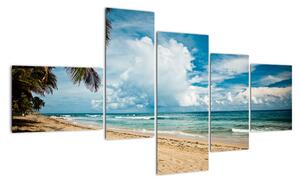Pláž - obraz (150x85cm)