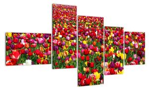 Obraz tulipánů (150x85cm)