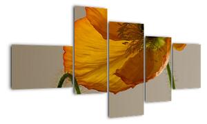 Žlutá květina - obraz (150x85cm)