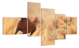 Cválající kůň - obraz (150x85cm)