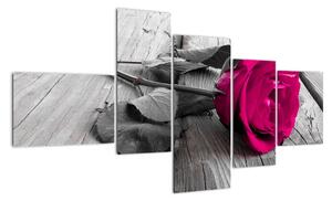 Růže fialová - obraz (150x85cm)
