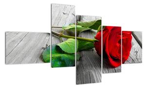 Růže červená - obraz (150x85cm)