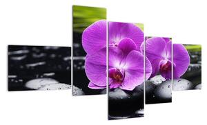 Obraz - orchidej (150x85cm)