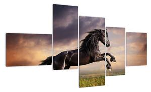 Kůň - obraz (150x85cm)