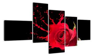 Abstraktní obraz růže - obraz (150x85cm)