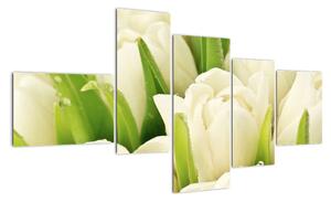 Detail tulipánů - obraz (150x85cm)