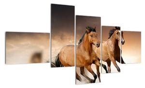 Koně - obraz (150x85cm)