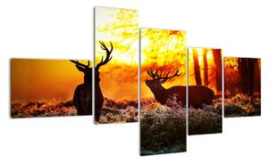 Fotka jelenů - obraz (150x85cm)