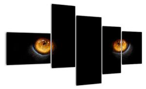 Zvířecí oči - obraz (150x85cm)