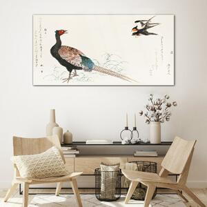 Obraz na skle Obraz na skle Asie zvířecí ptáci