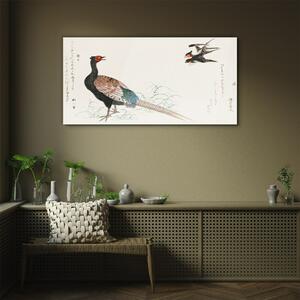 Obraz na skle Obraz na skle Asie zvířecí ptáci