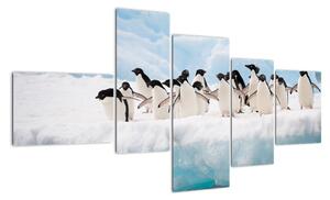 Tučňáci - obraz (150x85cm)