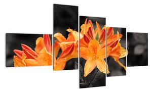 Obraz květin (150x85cm)