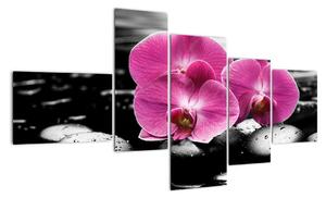 Obraz orchidejí (150x85cm)