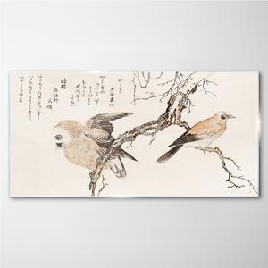 Obraz na skle Obraz na skle Asie větve zvířat ptáků