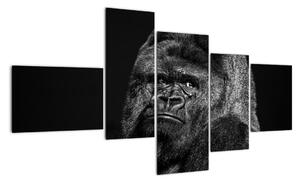 Obraz opice (150x85cm)