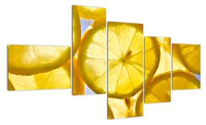 Plátky citrónů - obraz (150x85cm)
